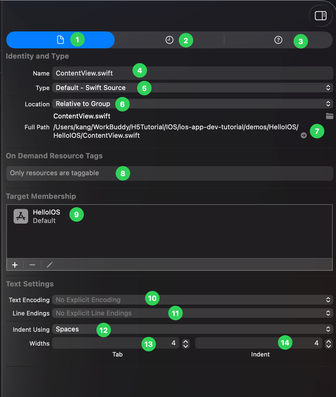Xcode File Inspector 标注：顶部页签与文件属性各字段