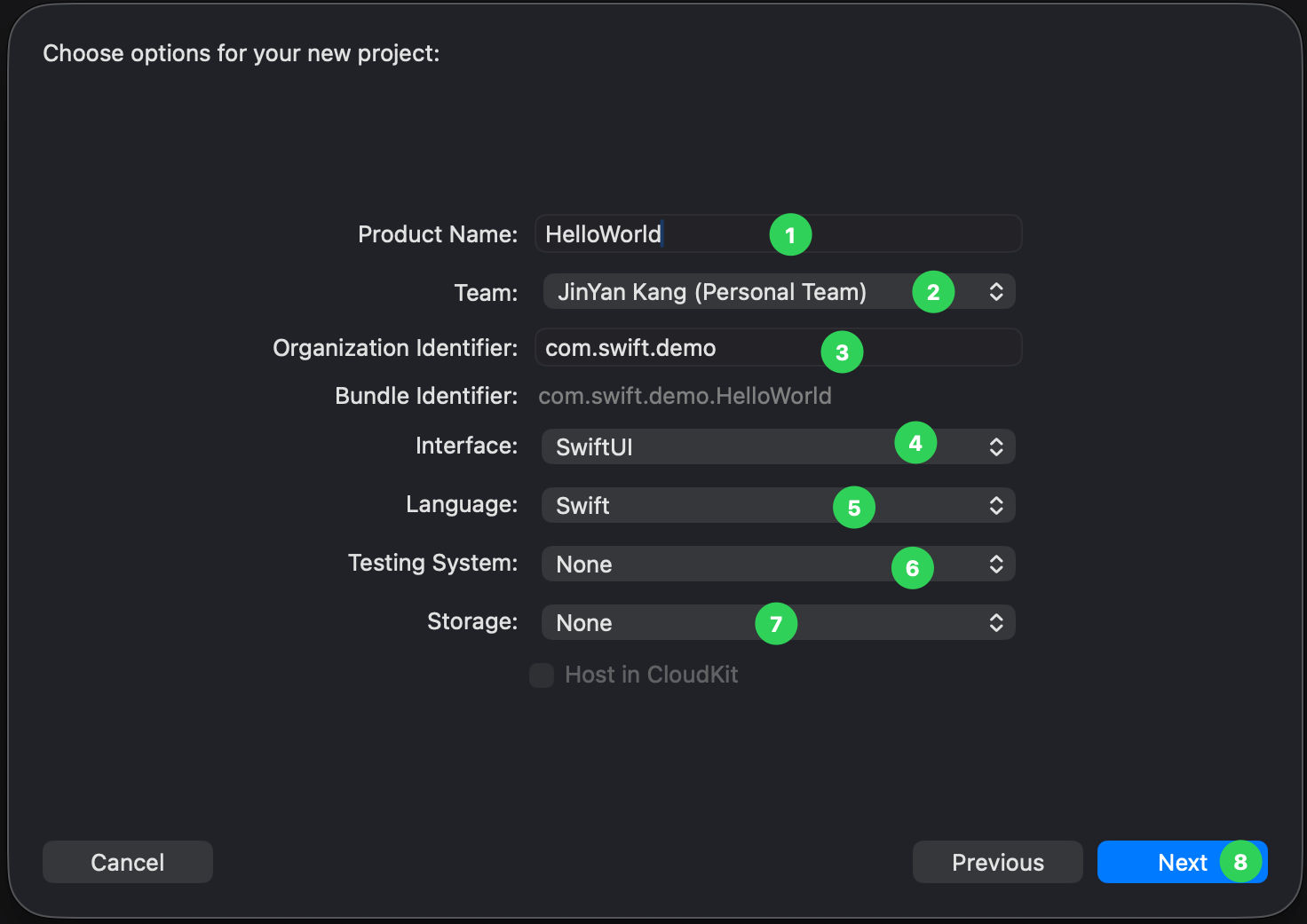 新建工程选项：名称 Team 标识符 SwiftUI 等