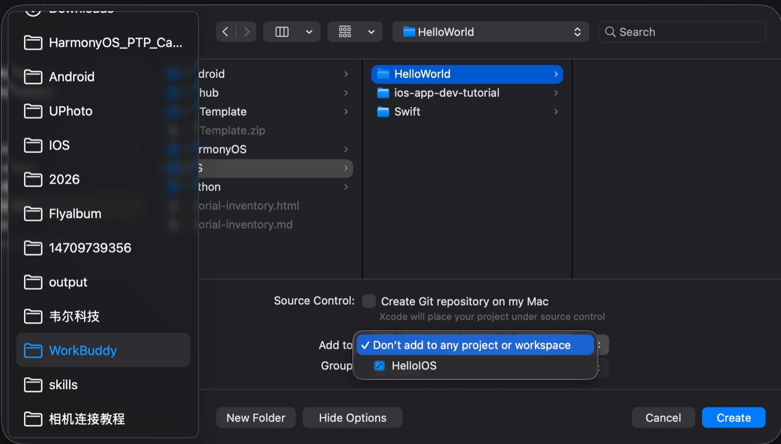 保存对话框：Add to 保持 Don’t add，Create Git 可选
